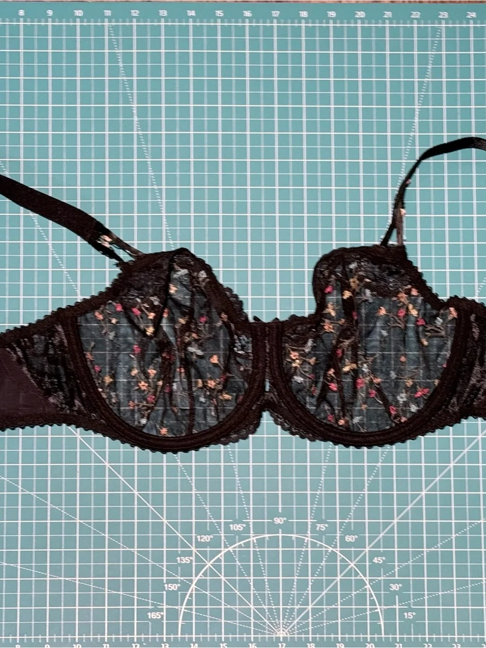 PrimaDonna Midnight Garden embroidered bra